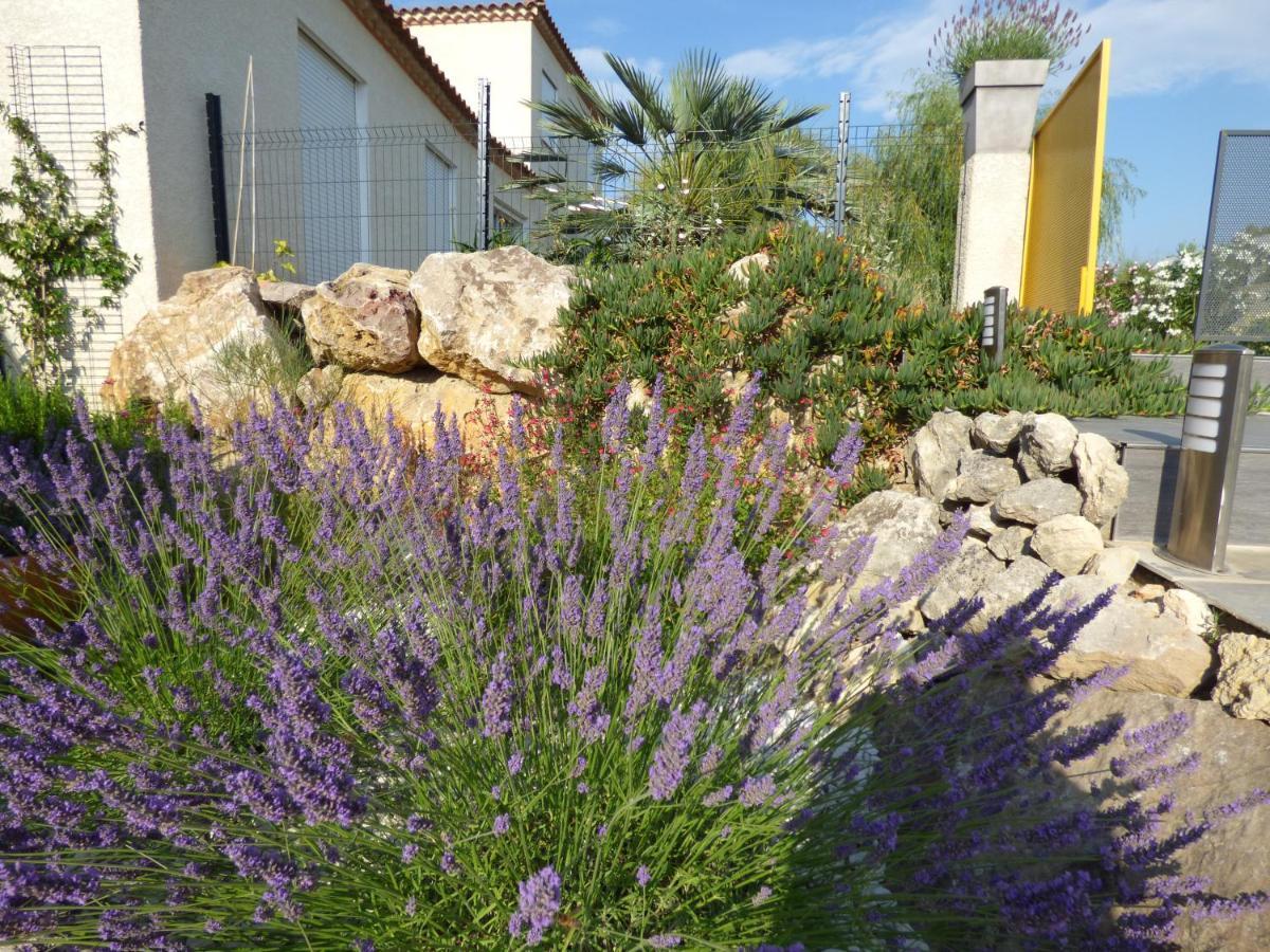 La Villa Du Saule Salles-d'Aude ภายนอก รูปภาพ